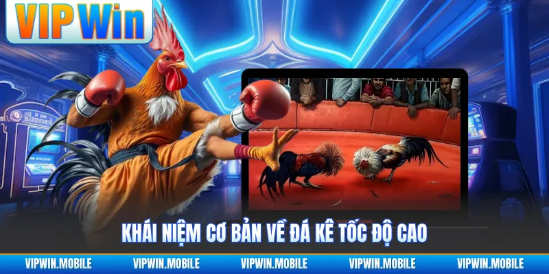 Khái niệm cơ bản về đá kê tốc độ cao