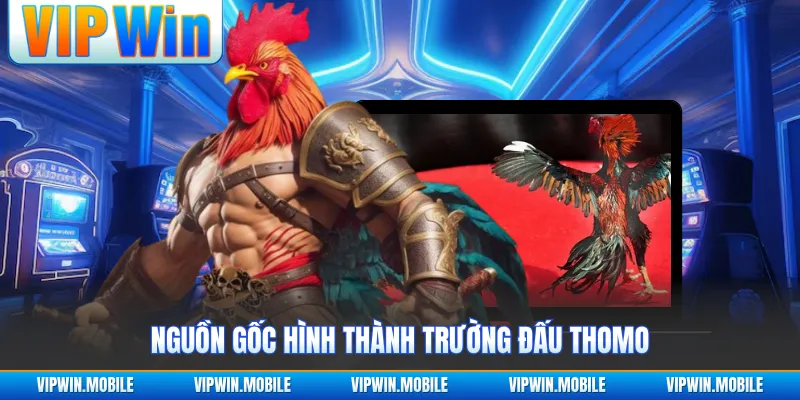 Nguồn gốc hình thành trường đấu Thomo