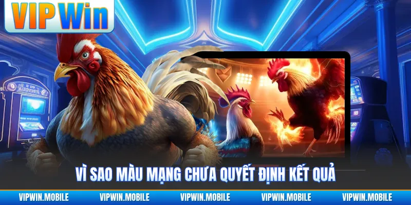Vì sao màu mạng chưa quyết định kết quả